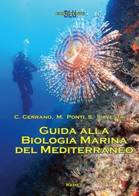 Abbildung von: Guida alla biologia marina del Mediterraneo - Continente blu;Kemet