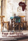 Cover: Fuga dall'Egitto. Inchiesta sulla diaspora del dopo-golpe - Afriche;Infinito Edizioni
