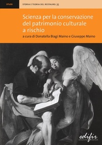 Abbildung von: Scienza per la conservazione del patrimonio culturale a rischio - Storia e teoria del restauro;EDIFIR