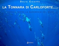 Abbildung von: La tonnara di Carloforte... Sopra e sotto la superficie del mare - Ebs Print