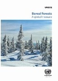 Cover: Boreal Forests - United Nations