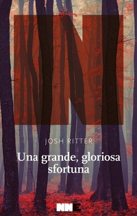 Abbildung von: Una grande, gloriosa sfortuna - NN Editore