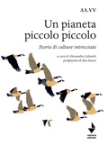 Cover: Un pianeta piccolo piccolo - Parole madri;Venturaedizioni