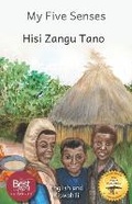 Cover: My Five Senses - Ready Set Go Books