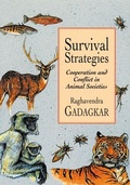 Cover: Survival Strategies - Harvard University Press