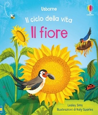 Enlarge image Cover: Il fiore - Il ciclo della vita;Usborne