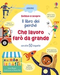 Cover: Che lavoro fare da grande - Sollevo e scopro. I libri dei perch&eacute;;Usborne