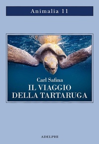 Abbildung von: Il viaggio della tartaruga. Alla ricerca dell'ultimo dinosauro - Animalia;Adelphi