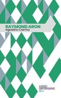 Cover: Raymond Aron - Ibl Libri