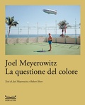 Cover: La questione del colore - Arte. Saggi;24 Ore Cultura