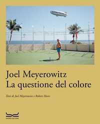 Abbildung von: La questione del colore - Arte. Saggi;24 Ore Cultura