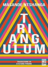 Abbildung von: Triangulum - Pidgin Edizioni