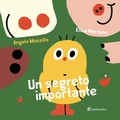 Cover: Un segreto importante - minibombo