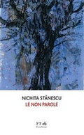Cover: Le non parole - Le meteore;FT - FinisTerrae