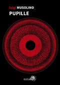 Cover: Pupille - I Nodi;Zona 42