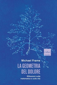 Abbildung von: La geometria del dolore. Riflessioni sulla matematica e sulla vita - Codice
