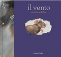 Cover: Il vento. I libri del topolino - Camelozampa
