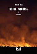 Cover: Notte isterica - Riflessi;Morellini