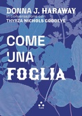 Cover: Come una foglia - Numeri Primi;Tlon