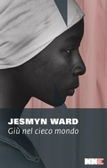 Cover: Gi&ugrave; nel cieco mondo - La stagione;NN Editore