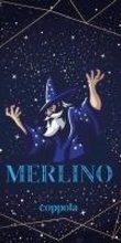 Cover: Merlino - I fiammiferi;Coppola Editore