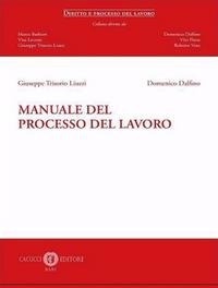 Abbildung von: Manuale del processo del lavoro - Diritto e processo del lavoro;Cacucci