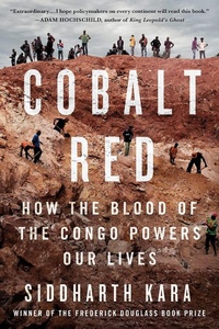 Abbildung von: Rosso cobalto. Come il sangue del Congo alimenta le nostre vite - Storie;People
