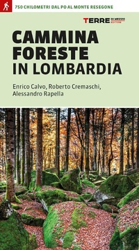 Abbildung von: CamminaForeste in Lombardia 750 chilometri dal Po al monte Resegone - Percorsi;Terre di Mezzo