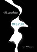 Cover: Mare aperto - Blu Atlantide