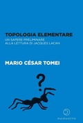 Cover: Topologia elementare. Un sapere preliminare alla lettura di Jaques Lacan - Paginaotto