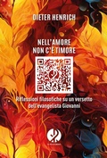 Cover: Nell'amore non c'&egrave; timore. Riflessioni filosofiche su un versetto dell'evangelista Giovanni - Il Pellegrino
