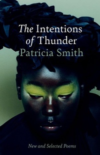 Enlarge image Cover: The Intentions of Thunder - Bloodaxe Books Ltd