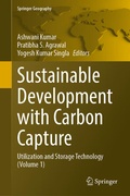 Cover: Sustainable Development with Carbon Capture - Springer