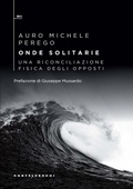 Cover: Onde solitarie. Una riconciliazione fisica degli opposti - QBit;Castelvecchi
