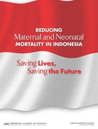 Abbildung von: Reducing Maternal and Neonatal Mortality in Indonesia - National Academies Press