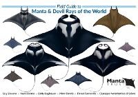 Enlarge image Cover: Field Guide to Manta & Devil Rays of the World - The Manta Trust