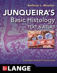 Abbildung von: Junqueira's Basic Histology: Text and Atlas, Seventeenth Edition - McGraw Hill LLC