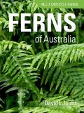 Cover: Reed Concise Guide: Ferns of Australia - Reed New Holland