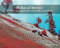 Cover: DakotaChrome - Painted Gate Publishing