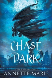 Enlarge image Cover: Chase the Dark - Dark Owl Fantasy Inc