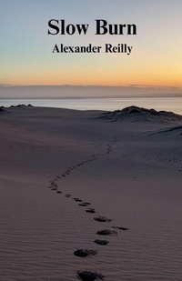 Abbildung von: Slow Burn - Alexander Reilly