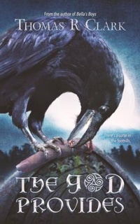 Enlarge image Cover: The God Provides - Nightswan Press