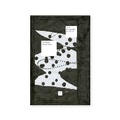 Cover: Terry Winters: Facts and Fictions - Drawing Center, U.S.