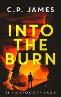 Cover: Into the Burn - Vinci Books
