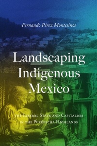 Bild: Landscaping Indigenous Mexico - University of Texas Press