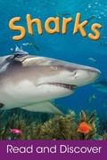 Cover: Sharks - Parragon Books Ltd.