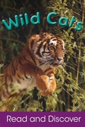 Cover: Wild Cats - Parragon Books Ltd.