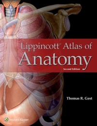 Abbildung von: Lippincott Atlas of Anatomy - WOLTERS KLUWER HEALTH