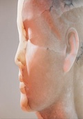 Cover: Jaume Plensa: Inner Matter - RM Verlag SL