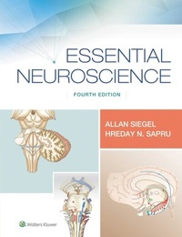 Abbildung von: Essential Neuroscience - WOLTERS KLUWER HEALTH